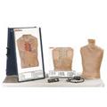 Auscultation Trainers